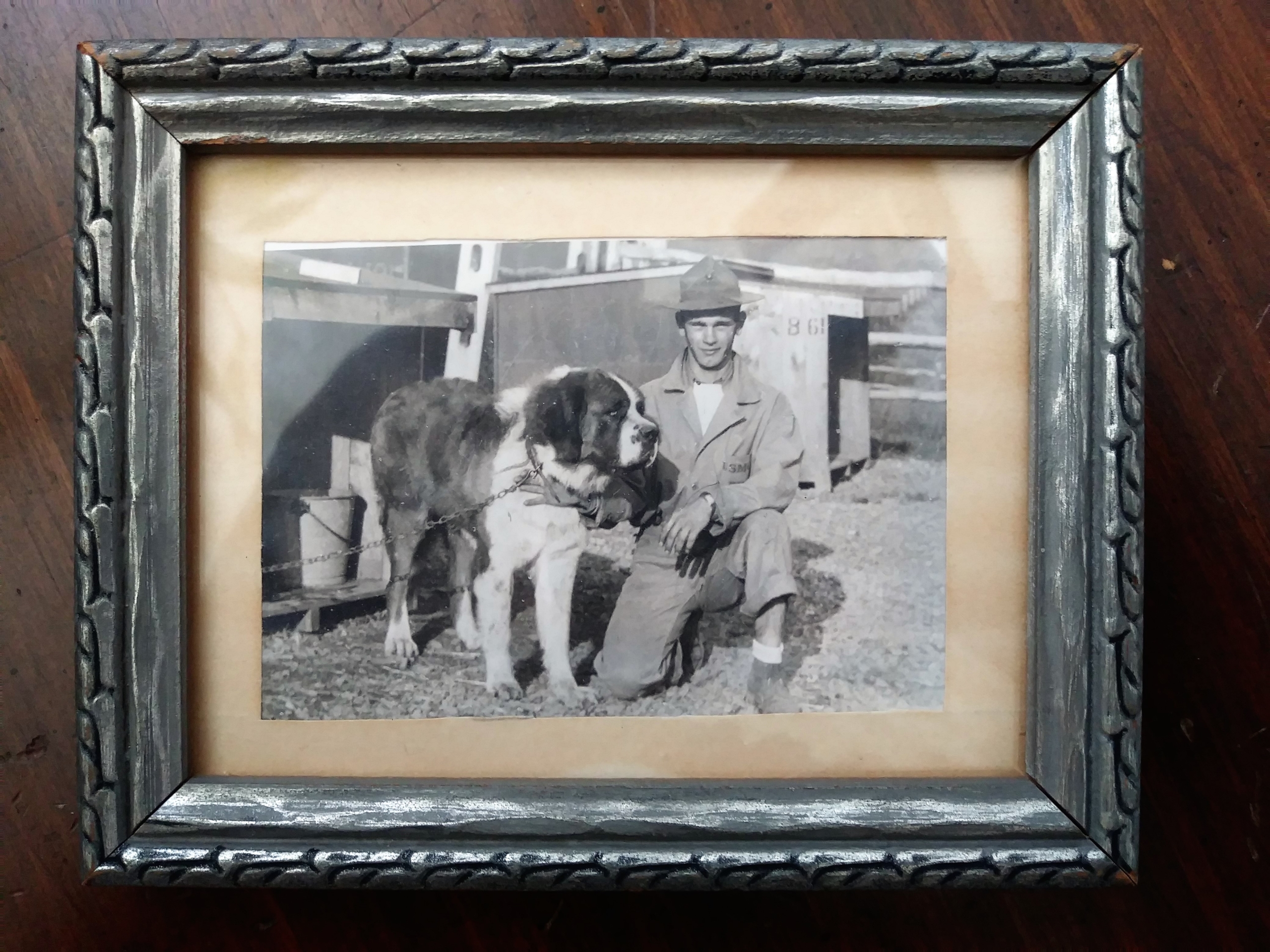 This framed photo shows Homer Finley at Front Royal, Virginia with an unnamed Saint Bernard.