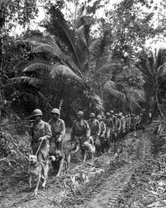 U.S. Marines WWII - Training in California