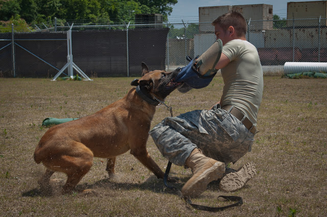 209th MWD Day-13-X3