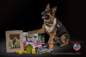 Handsome German Shepherd police dog models "Dogs with Altitude" bandana and poses next to care package contents. Photo by David Schlatter Photography, Superior, Colorado.