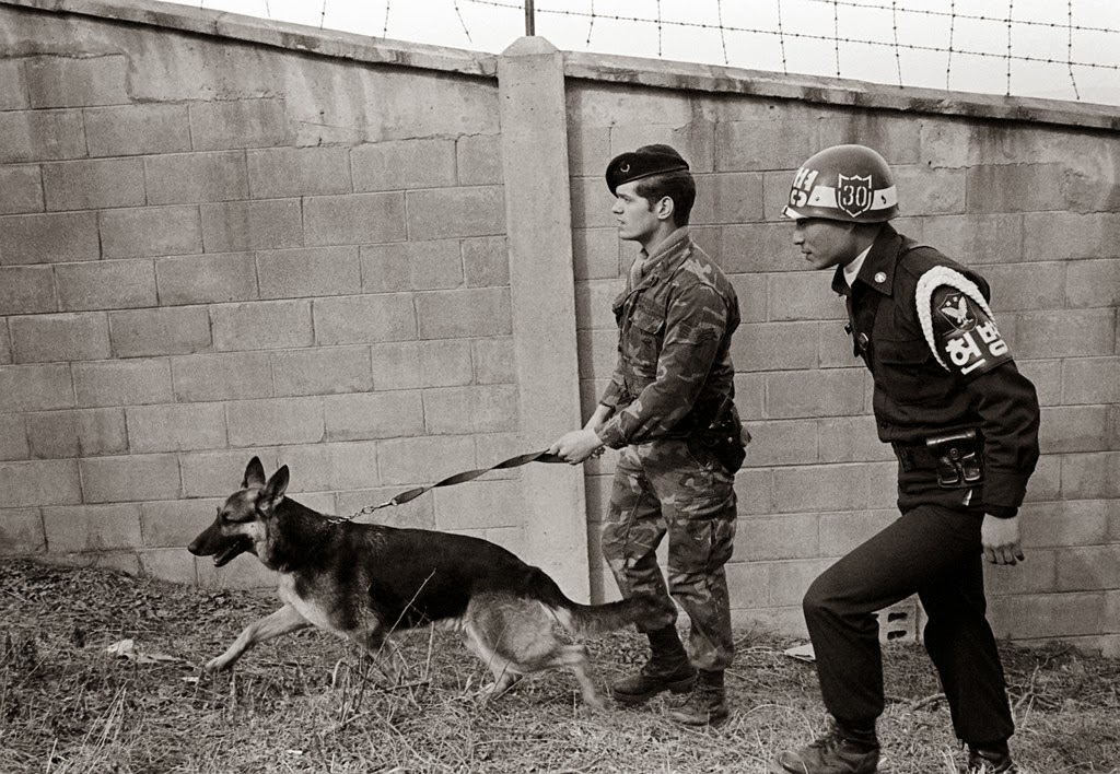 Air Police, Korea