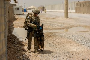 This is Air Force Staff Sgt. Jessie Johnson and her MWD Chrach (pronouced Crash).