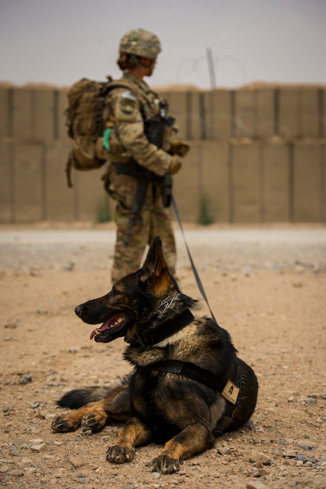 This is Air Force Staff Sgt. Jessie Johnson and her MWD Chrach (pronouced Crash).