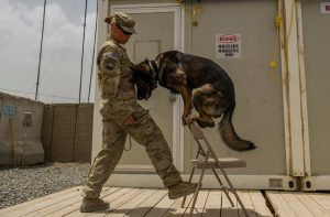 This is Air Force Staff Sgt. Jessie Johnson and her MWD Chrach (pronouced Crash).