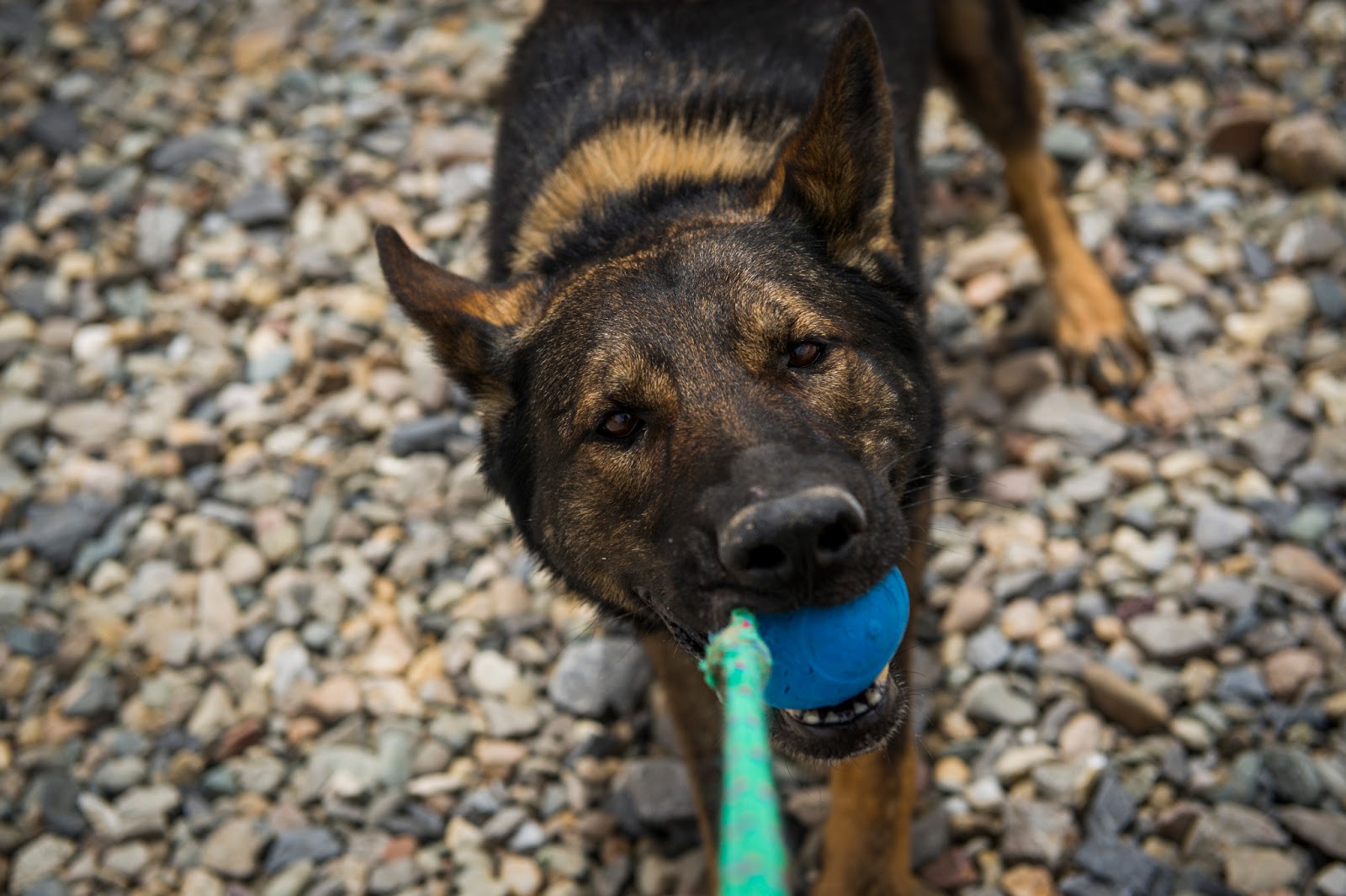 Airforce MWD Chrach (pronouced Crash).