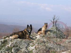 Allen and Zorby overlooking the valley