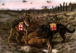 German Shepherd Dogs in the Military: A Brief Historical Overview - MWDTSA