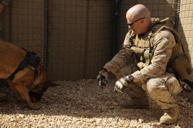 U.S. Marine Corps Staff Sgt. Chris Willingham, assigned to the U.S. Army's 2nd Special Troops Battalion, 2nd Brigade Combat Team, 4th Infantry Division, rewards his dog, Lucca