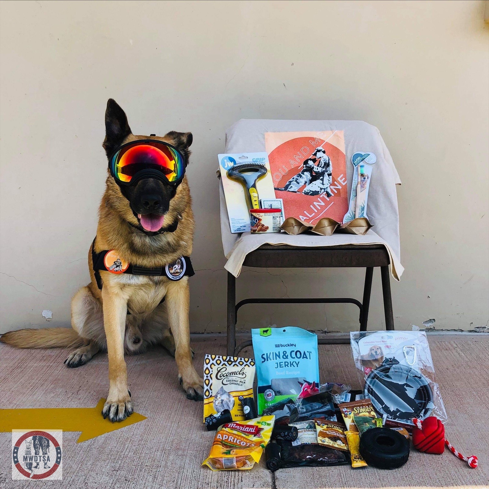 Military working dog wearing Rex Specs sits beside Q1-2019 care package contents.