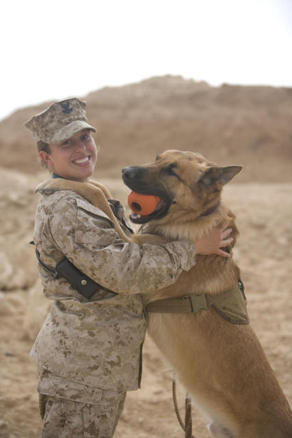 U.S. Navy Petty Officer 2nd Class Danielle Kubit, from Marine Corps Task Force Military Police, 1st Battalion, 12th Marine Regiment, rewards her working dog, Britt, after finding a simulated improvised explosive device during a training exercise at Al Asad Air Base, Iraq, Feb. 23, 2009. Marines and Sailors from Task Force Military Police conduct exercises to ensure working dogs remain trained and ready for operations while deployed. (U.S. Marine Corps photo by Lance Cpl. Chance M. Hiser/Released)