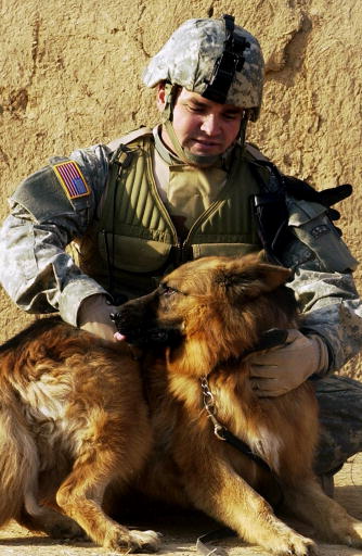 U.S. Air Force Staff Sgt. Russell McLaughlin, a K-9 dog handler attached to the U.S. Army's 25th Infantry Division, takes a moment to scratch the back of his military working dog after the completion of a raid in the village of Tall Qabb village, Kirkuk province, Iraq, Dec. 8, 2006. (U.S. Air Force photo by Staff Sgt. Samuel Bendet) (Released)