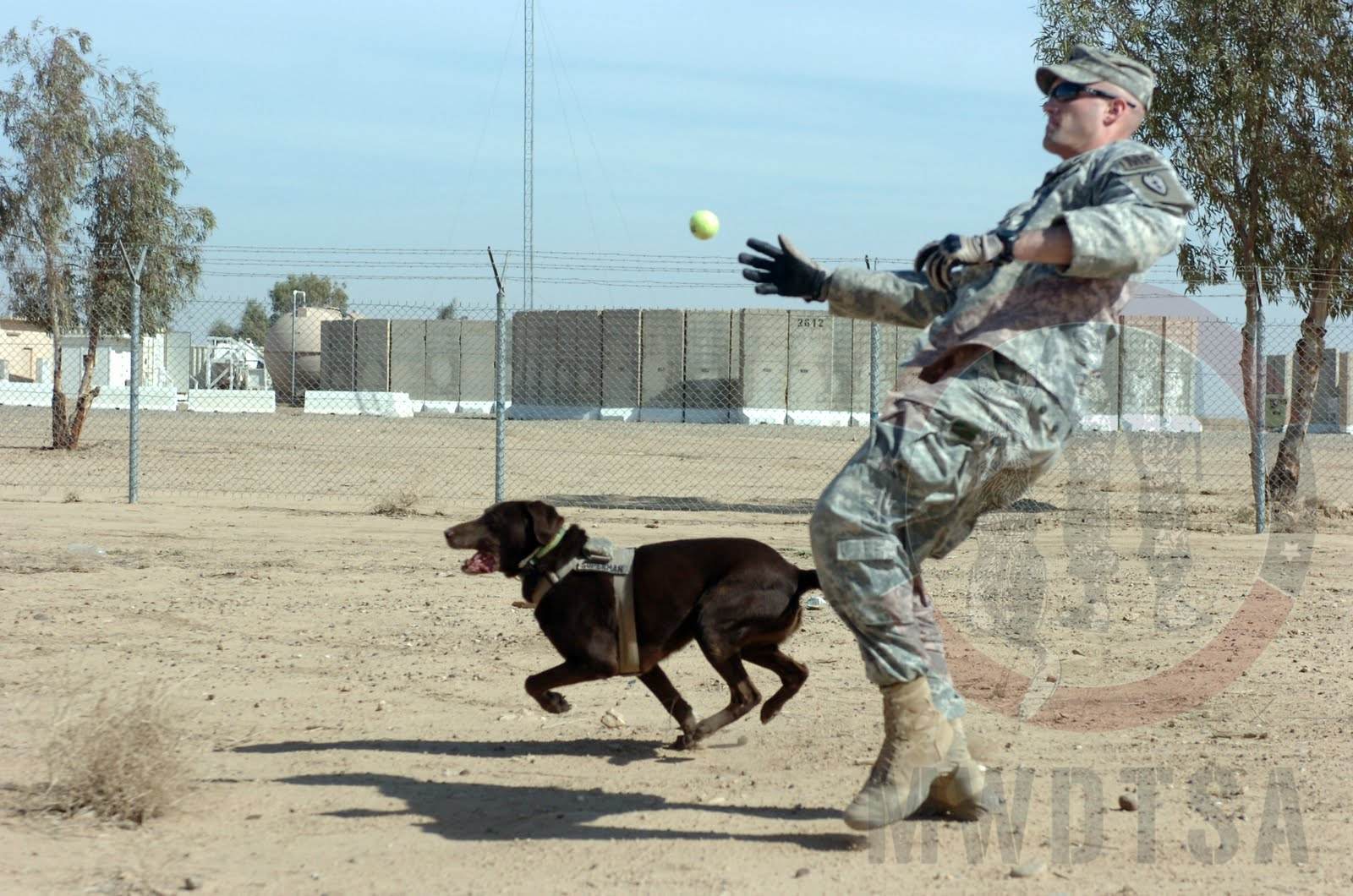 SGT Roye and SSD Bubba