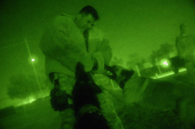 Timmy and Chay, military working dogs, strike as a team to take down U.S. Navy Petty Officer 1st Class Sergio Sandoval, during nighttime double dog aggression training June 18, 2008, Joint Base Balad, Iraq. Sandoval is assigned as a dog handler to the 332nd Expeditionary Security Forces Squadron, Detachment 1. (U.S. Air Force photo by Senior Airman Julianne Showalter/Released)