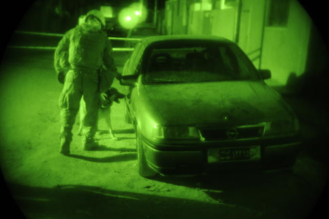 U.S. Marine Corps Staff Sgt. Chris Willingham, attached to Headquarters and Headquarters Company, 2nd Special Troops Battalion, 2nd Brigade Combat Team, 4th Infantry Division, directs his dog Lucca, a military working dog, to search a car parked near an Iraqi election site for explosives in Diwaniyah, Iraq, Jan. 30, 2009. (U.S. Air Force photo by Senior Airman Eric Harris/Released)