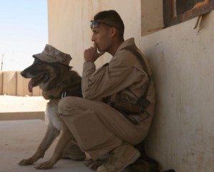 A U.S. Marine and military working dog Marty take a break as they conduct training for the Lioness Program at Camp Korean Village, Iraq, Nov. 30, 2006. The program uses female Marines to conduct security searches of women who may not be comfortable having amale search them. (U.S. Marine Corps photo by Sgt. Jennifer L. Jones) (Released)