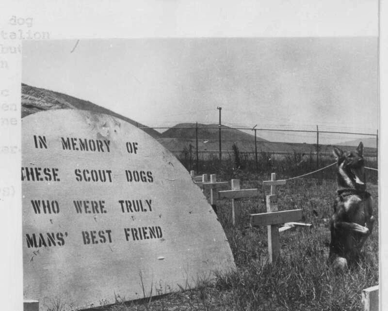 Scout Dog Cemetery Vietnam