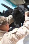 Cpl. Seth Sheppard and military canine Fenji