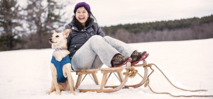 dog-sledding