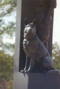 dog_memorial_face