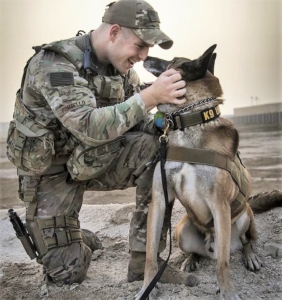 The photo for the Contact MWDTSA page shows a servicemember kneeling on the ground, touching noses with his MWD.