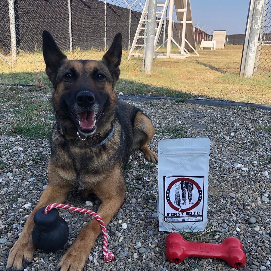 This photo pictures a military working dog laying next to a bag of Pale Horse "First Bite" coffee.