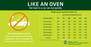 To emphasize the need to prevent dog heat stroke, this graphic demonstrates how quickly a car heats up inside at various outside temperatures.