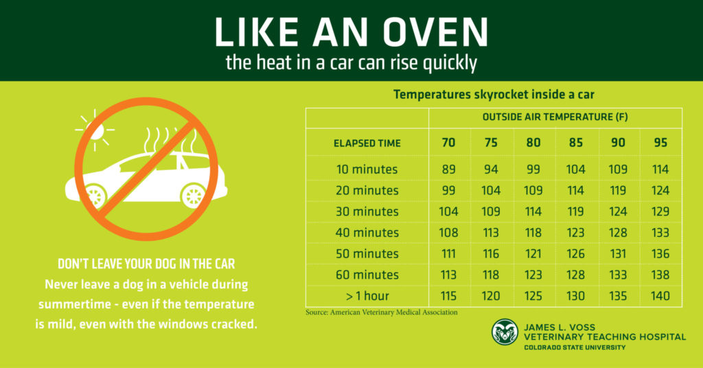 To emphasize the need to prevent dog heat stroke, this graphic demonstrates how quickly a car heats up inside at various outside temperatures.