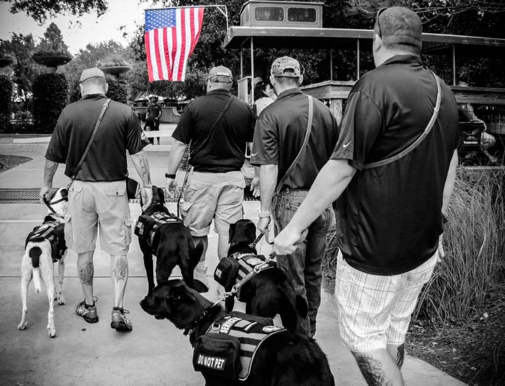 This photo shows four K9s For Warriors service dogs walking on-leash with their two-legged buddies during a training activity.