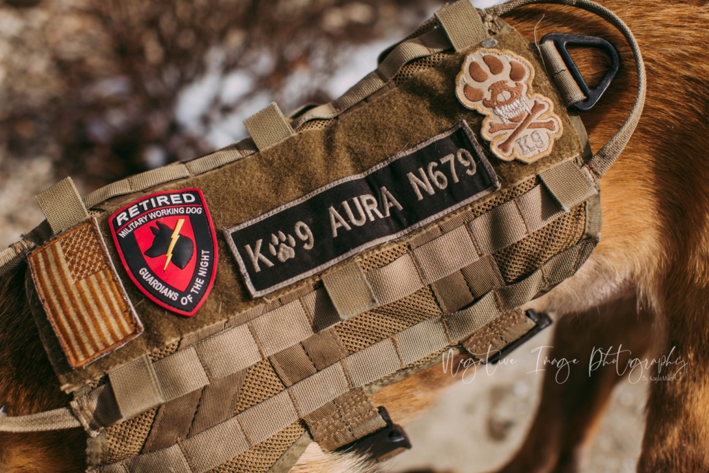 This photo shows RMWD Aura's military vest, which includes a Guardians of the Night patch.