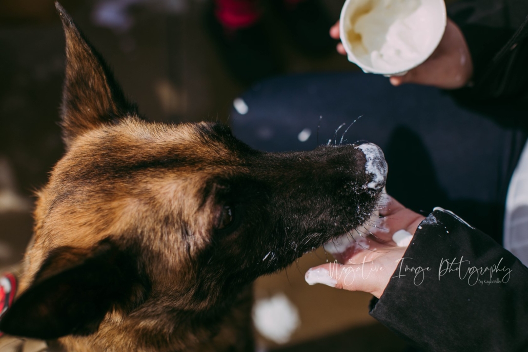 With her family's help, RMWD Aura consumes one last Starbuck's Puppuccino.