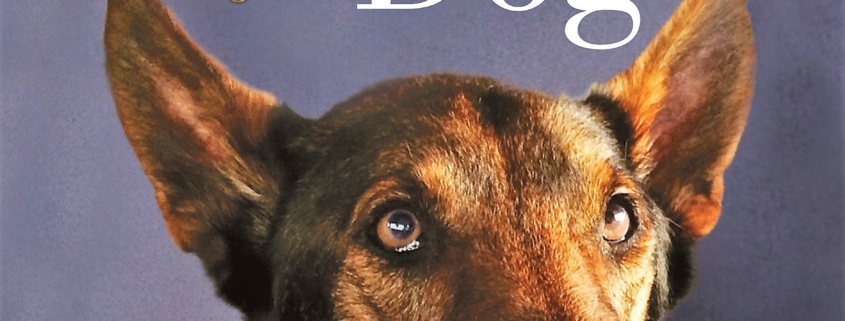This image shows the cover of No Ordinary Dog by retired Navy SEAL Will Chesney and co-author Joe Layden.