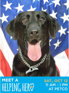 This photo shows RMWD Elmer with a U.S. flag in the background. Elmer will be one of the dogs visiting Petco on October 12 to say thank you for Petco Foundation's generous support.