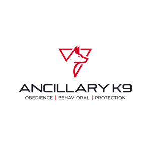 This is the logo for Ancillary K9. The tagline reads, "Obedience, Behavioral, Protection." The logo consists of inverted red triangle with a red line drawing of a Malinoi profile. Below this image is the company name and tagline in a black all caps font.