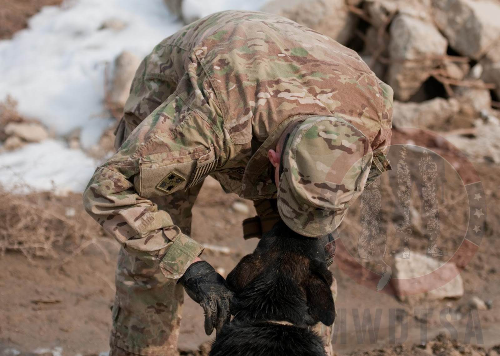 Sgt. Brian Curd, a dog handler, shows Staff Sgt. Allen, a mine-detection dog, some affection after a training session at Bagram Air Field, Afghanistan, Jan. 8, 2013.