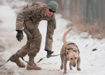 Sgt. Garret Grenier, a dog handler, and Staff Sgt. Drake, a mine-detection dog, seek out "mines."