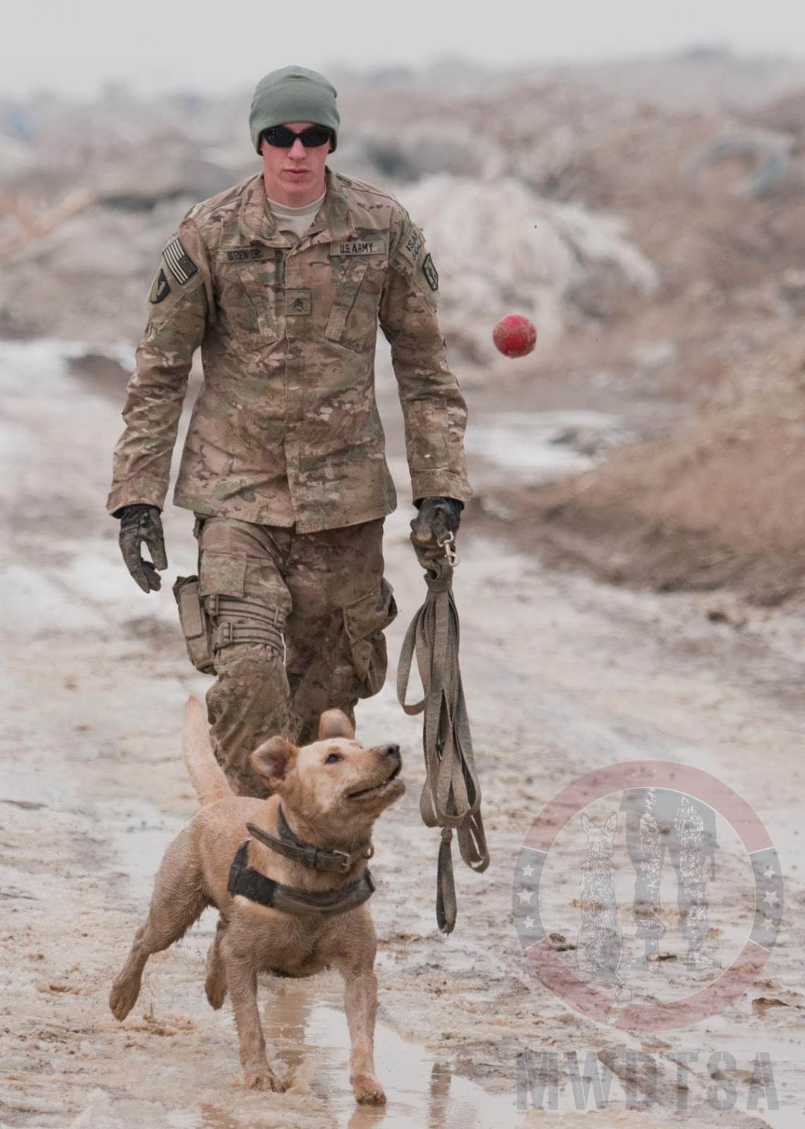 Sgt. Garret Grenier, a dog handler, gives Staff Sgt. Drake, a mine-detection dog, his favorite toy as a reward after a successful training session at Bagram Airfield, Afghanistan, Jan. 8, 2013.