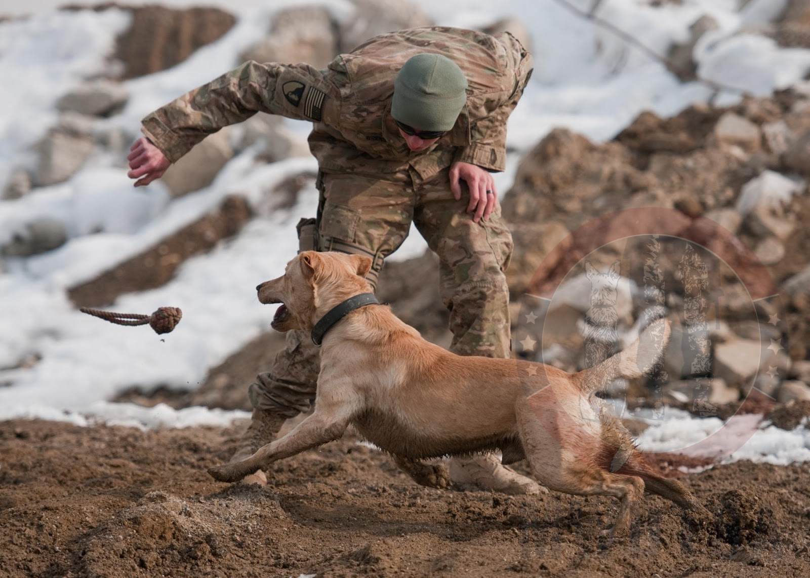 Sgt. Garrett Grenier, a dog handler, and Staff Sgt. Drake, a mine-detection dog, enjoy a game of fetch before training at Bagram Airfield, Afghanistan, Jan. 8, 2013.