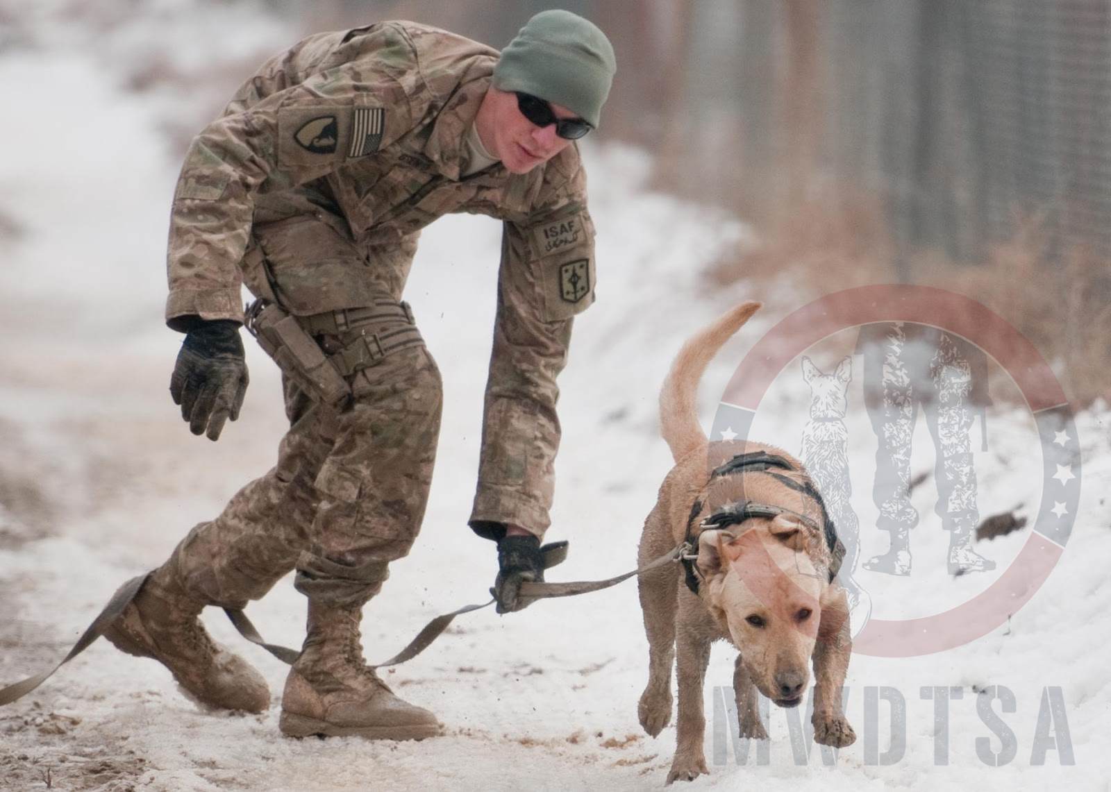 Sgt. Garret Grenier, a dog handler, and Staff Sgt. Drake, a mine-detection dog, seek out "mines."