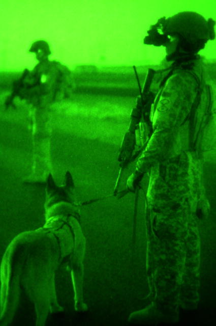 U.S. Soldiers and a military working dog provide command control during a security halt while conducting operations in the Multi-National Division (South-East) area of responsibility in Basra, Iraq, July 31, 2008. DoD photo by Pfc. Rhonda Roth-Cameron, U.S. Army. (Released)