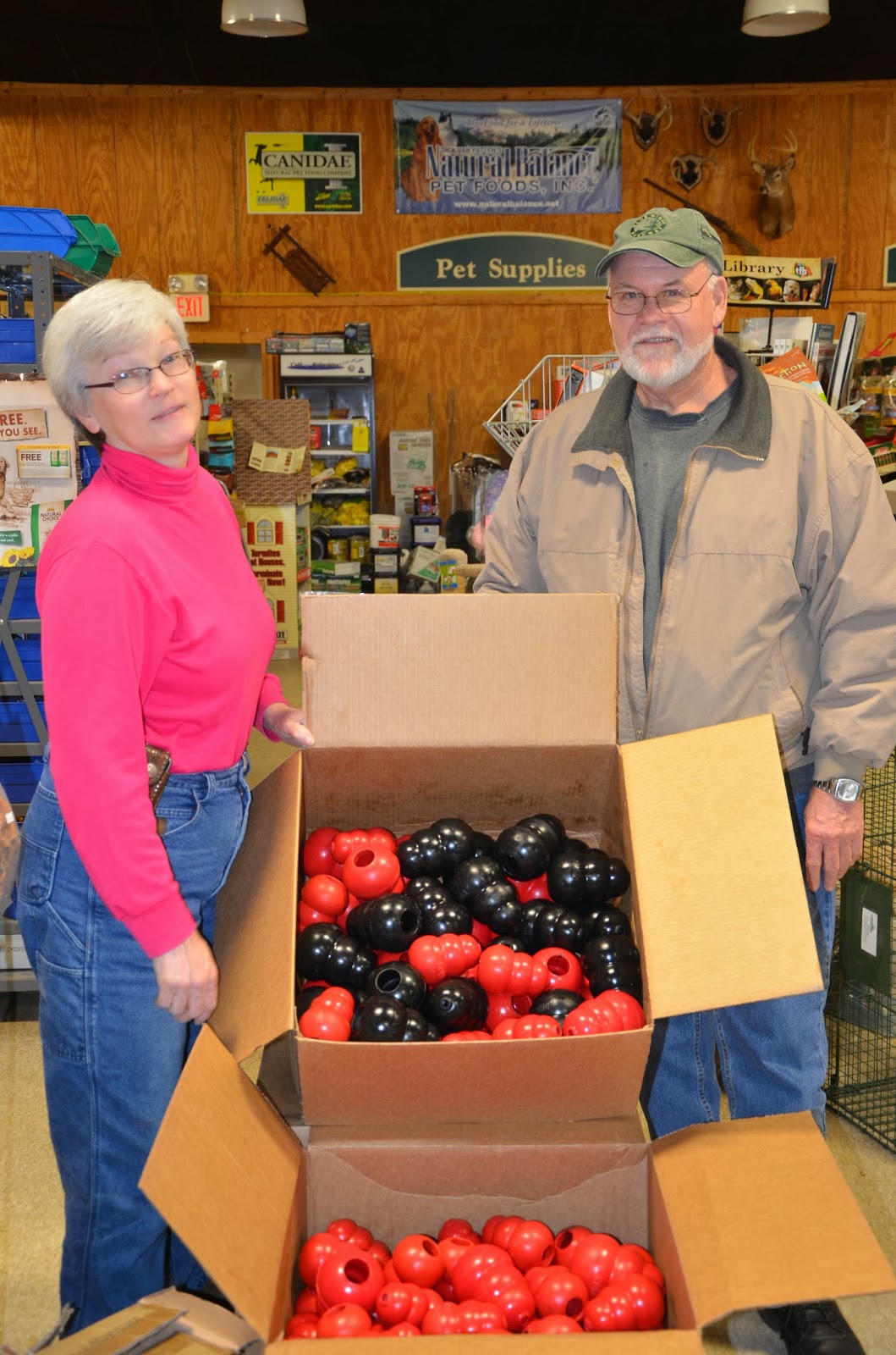 Sorting through KONGs in boxes